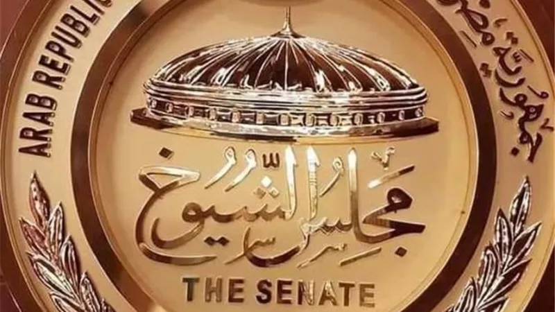 نائب برلماني يحذر: الاستعداد المبكر ضرورة لمواجهة تداعيات قانون الإيجار