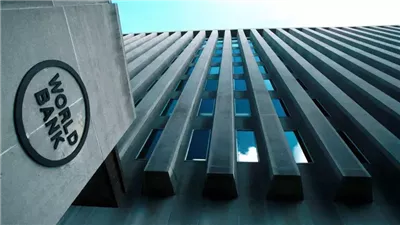 البنك الدولي: 33 مليون شخص يعملون في قطاع الغابات 