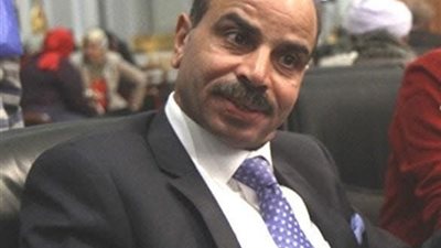 خسارة الشعيني بعد 25 عام بالبرلمان بقنا.. تفاصيل 