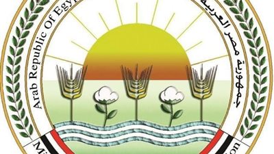 وزارة الزراعة: توسع في الأنشطة الإرشادية لتعزيز الأمن الغذائي ودعم الريف
