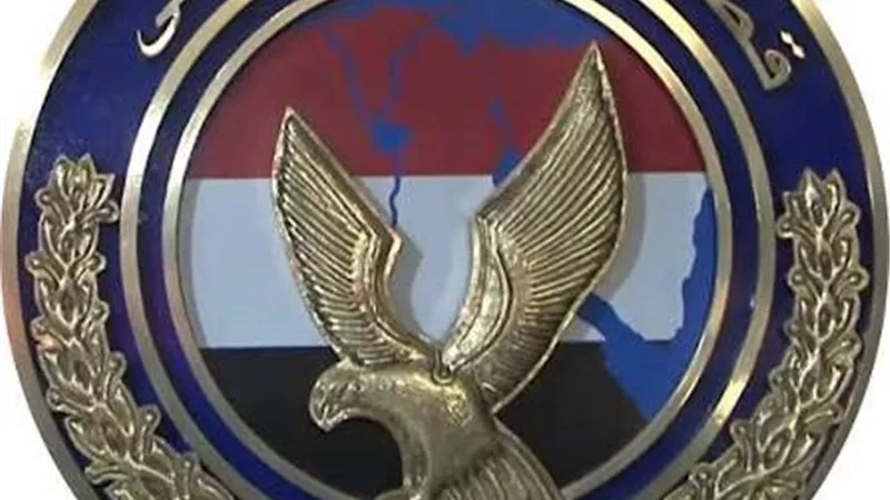 بسبب النصب والإحتيال على المواطنين.. القبض علي 13 شخص يحملون الجنسية الأجنبية 