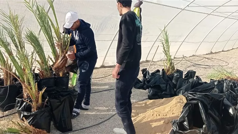 الشباب والرياضة تستكمل أعمال الأندية الزراعية بمركز شباب الفرافرة