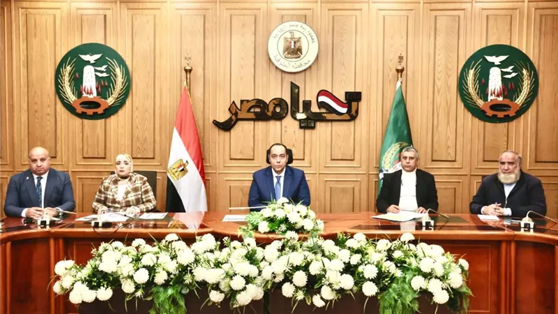 نائب محافظ المنوفية يتابع الموقف النهائي لمشروعات مبادرة 