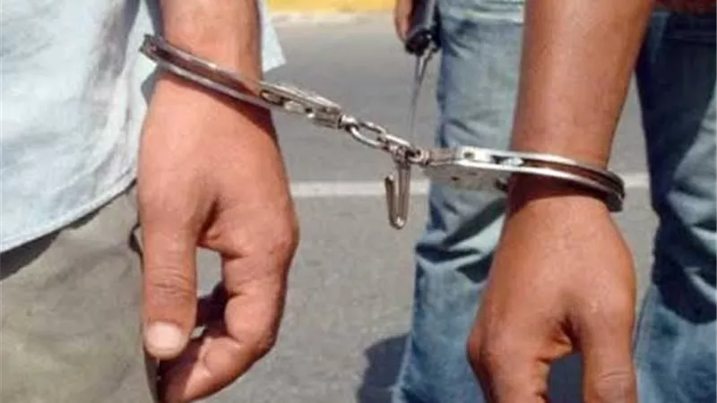  المشدد 6 سنوات لسائق وطالب لاتجارهما بالمواد المخدرة بالقليوبية