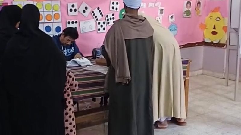 الانتخابات 