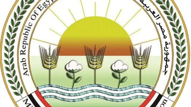وزارة الزراعة: توسع في الأنشطة الإرشادية لتعزيز الأمن الغذائي ودعم الريف