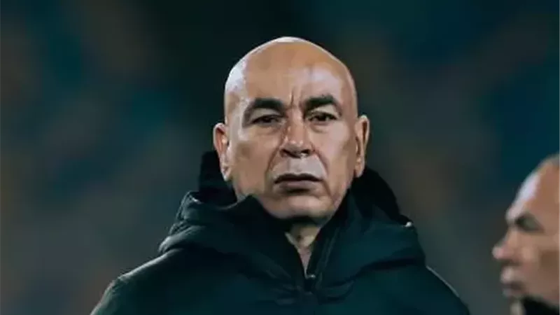 حسام حسن
