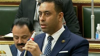 عقب تسلمه كارنيه العضوية الجديدة بالنواب.. فرغلي: سنتصدى للقروض الجديدة