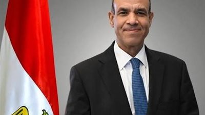وزير الخارجية يؤكد تعزيز التنسيق بين مصر وباكستان لخفض التوترات بالمنطقة 