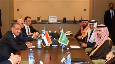 وزير الخارجية يبحث مع نظيره السعودي ضمان التدفق المنتظم للمساعدات لقطاع غزة