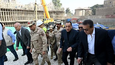 مُناظرة 356 حالة من قبل الاستشاريين الفرنسيين من مركز جوستاف روسي الفرنسي
