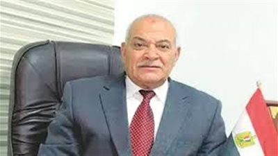 خاص| شعبة الدواجن: العرض والطلب فشل في ضبط السوق.. ونطالب بمعادلة سعرية مُلزمة