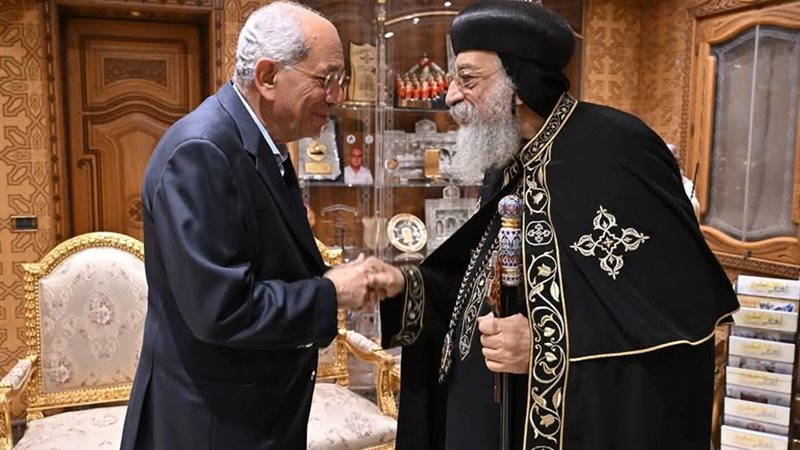 قداسة البابا يستقبل