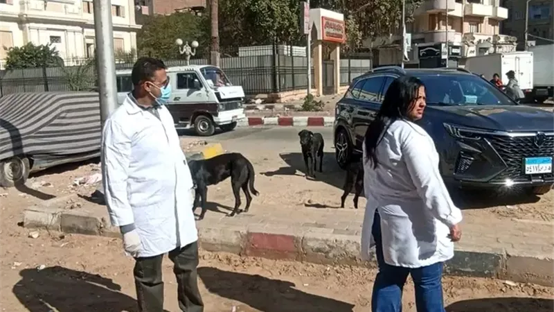 سوهاج تطلق حملة تحصين شاملة لكلاب الشوارع للحد من السعار