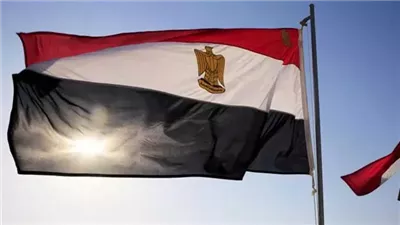 مصر ترحب بقرار تصنيف جماعة الإخوان المسلمين 