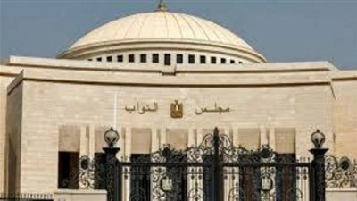 الرئيس السيسي يطالب بتقنين استخدام الإنترنت للأطفال.. وتحرك عاجل من النواب 