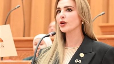 برلمانية: توطين صناعة الطاقة مفتاح الاستقلال والأمن القومي