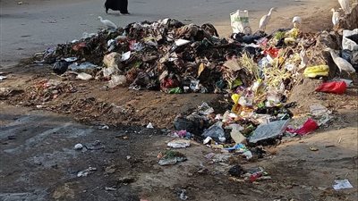 أهالي قرية الحمراوي بكفر الشيخ يستغيثون: تراكم القمامة يهدد الصحة العامة والبيئة