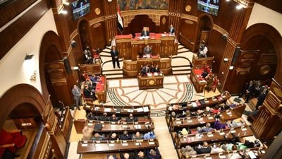 «حياة كريمة» في قلب نقاشات الشيوخ.. مطالب بخطة زمنية لمشروعات المياه والصرف
