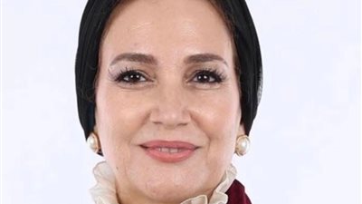 برلمانية تحذر من تعطل سيستم التأمينات وتؤكد المعاش حق وليس منحة