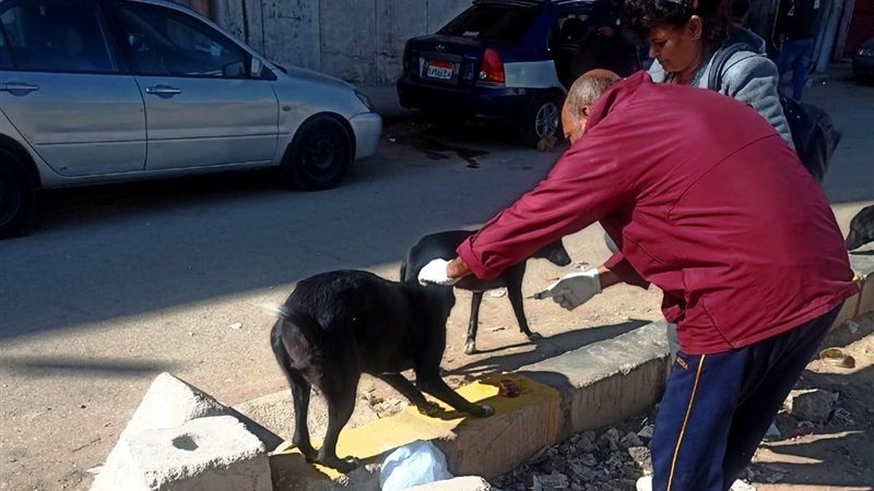 جانب من حملة التطعيم