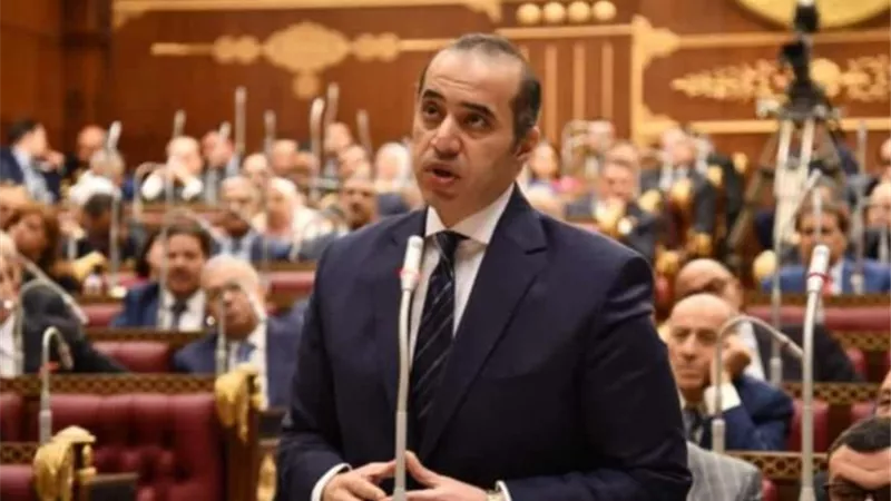 التشريع أصبح سلاحًا استراتيجيًا.. ومسار مصر بين الأمان والتنمية