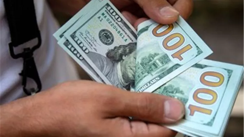 ارتفاع سعر الدولار أمام الجنيه في منتصف تعاملات اليوم الأربعاء 14 يناير 2026