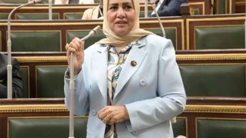 النائبة سحر صدقي