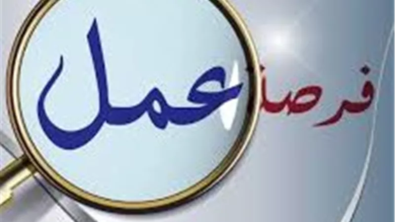 طريقة التقديم في فرص العمل القيادية المتاحة ببوابة الوظائف الحكومية 2026