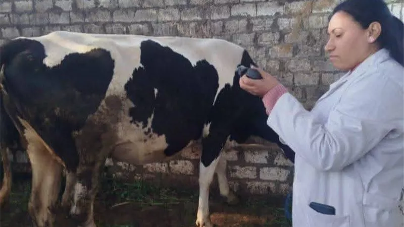بيطرى المنيا : بدء حملة استثنائية للحد من الأمراض الوبائية