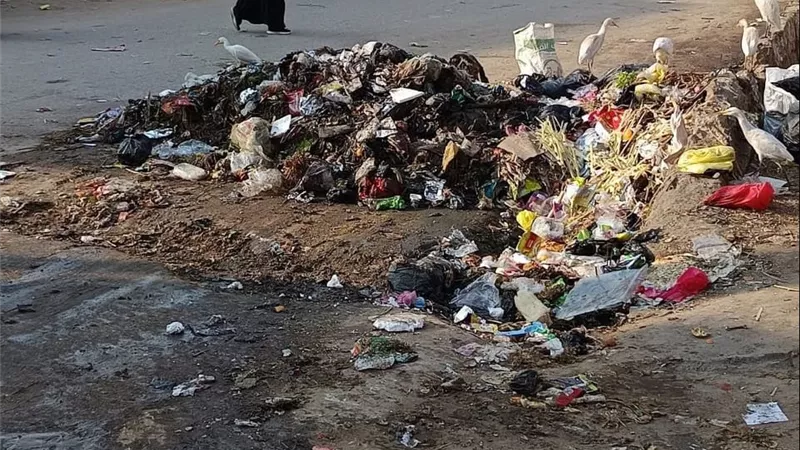 أهالي قرية الحمراوي بكفر الشيخ يستغيثون: تراكم القمامة يهدد الصحة العامة والبيئة