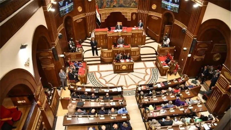 «حياة كريمة» في قلب نقاشات الشيوخ.. مطالب بخطة زمنية لمشروعات المياه والصرف