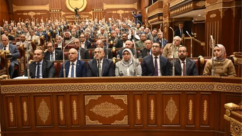 أحمد شعراوي: «حياة كريمة» تضع المواطن في قلب خطط التنمية