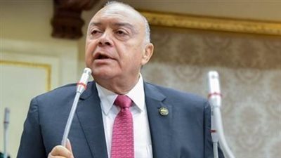رئيس نقل النواب: استمرار استقرار الملاحة ينعكس إيجابيًا على الاقتصاد المصري