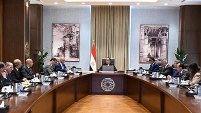 تطوير صناعة السكر في مصر.. الحكومة تستهدف تحقيق الاستدامة وتعزيز الأمن الغذائي