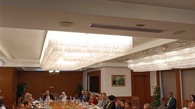 انعقاد اللجنة الدائمة لمتابعة العلاقات المصرية – الإفريقية