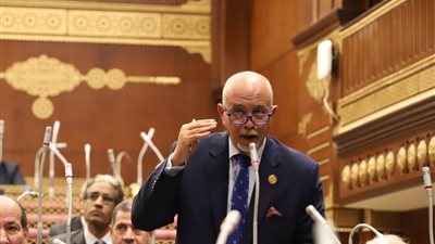 عضو بالشيوخ: مشاركة السيسي بمنتدى دافوس تحمل رسائل هامة.. وتبرهن على دور مصر العالمي