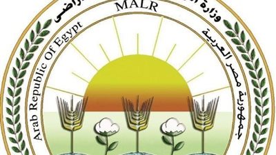 الزراعة المصرية تتحرك بقوة نحو الخليج.. خطة موسعة لزيادة الصادرات ودعم استقرار الغذاء العربي