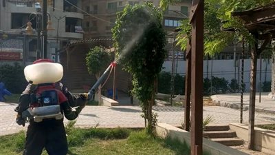 سوهاج تكثف أعمال مكافحة الحشرات بالشوارع حفاظا على الصحة العامة