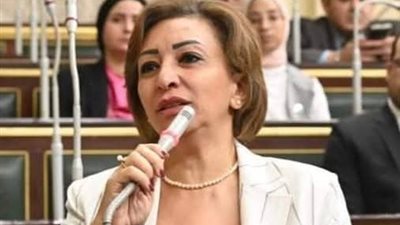 وكيل «اتصالات النواب»: 80% من المصريين يستخدمون هواتف أقل من 10 آلاف جنيه