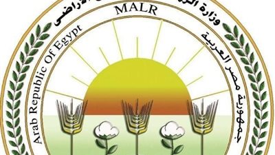وزير الزراعة: توريد أكثر من 3.2 مليون طن قمح حتى الآن