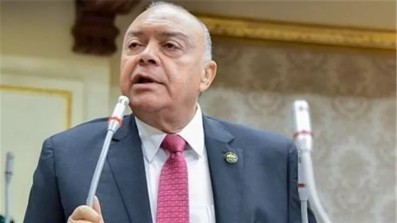 رئيس نقل النواب: استمرار استقرار الملاحة ينعكس إيجابيًا على الاقتصاد المصري