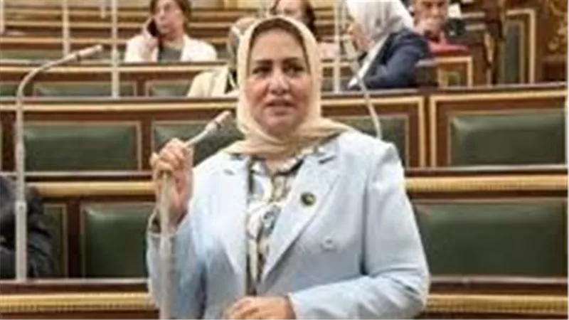 برلمانية: دور مصر في غزة تجاوز مفهوم الوساطة التقليدية