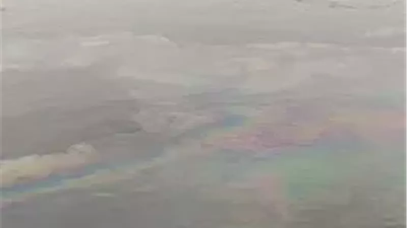 ارشيفية