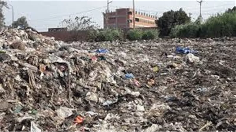 منجم الذهب المنسي: كيف تتحول القمامة إلى كنز مصر الجديد؟.. قصص نجاح تغيّر الواقع