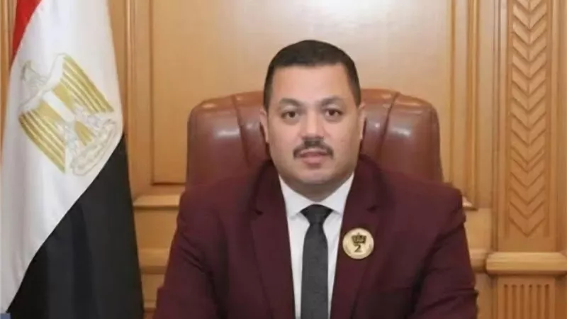 تحت قبة البرلمان.. دقدق يرفض تعديل قانون الكهرباء ويحذر من ظلم المواطنين