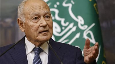 أبو الغيط يجرى زيارة رسمية إلى الهند
