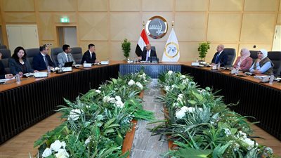 وزير الصناعة يبحث إنتاج ألواح السيارات مع شركة شين فينج ستيل الصينية