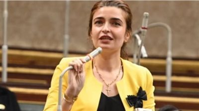 إيرين سعيد تحول سؤالها بشأن باقات الإنترنت  لطلب إحاطة