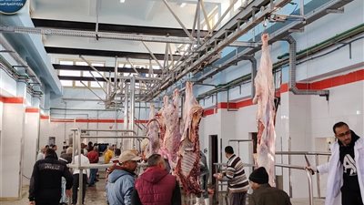 التشغيل التجريبي لمجزر مدينة موط بالوادي الجديد بتكلفة 21 مليون جنيه